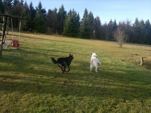 med_Mit Lara im Waldhotel Koch.jpg (600 x 450)